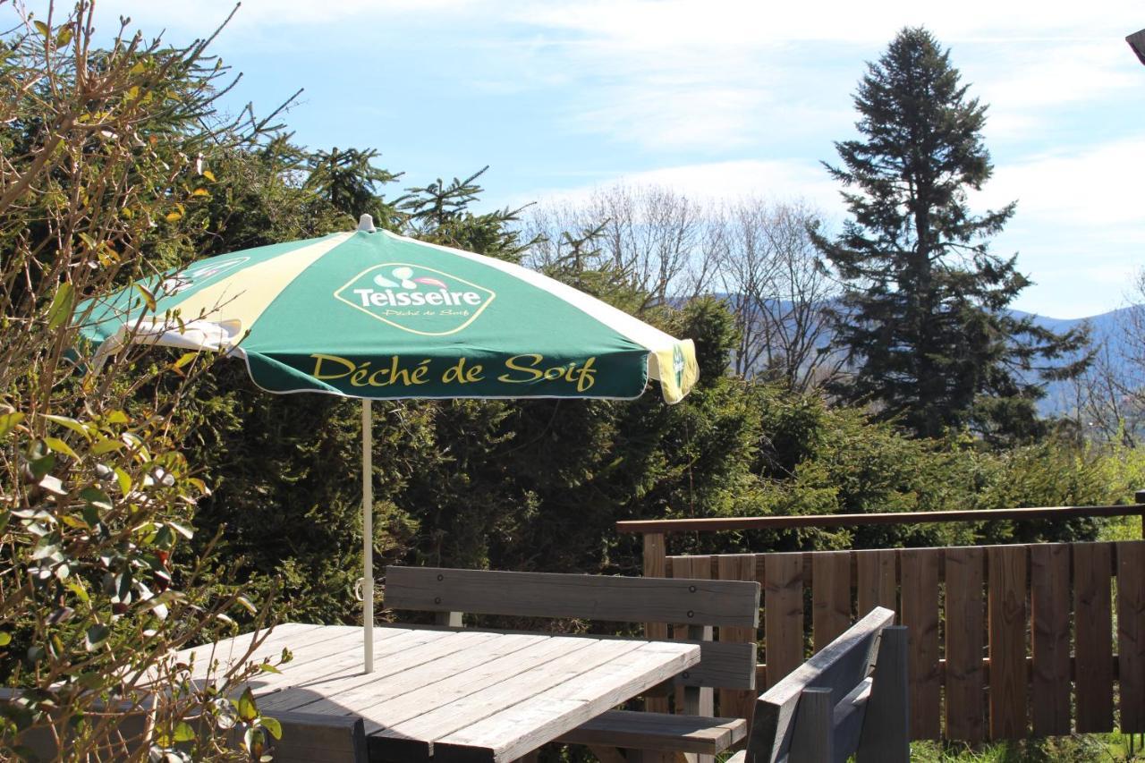 Chalet Les Bouleaux, La Montagne Des Lamas La Bresse Exterior foto